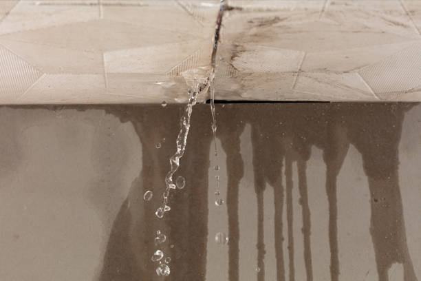 Professional Water Damage Repair technician working in Wilton, NH